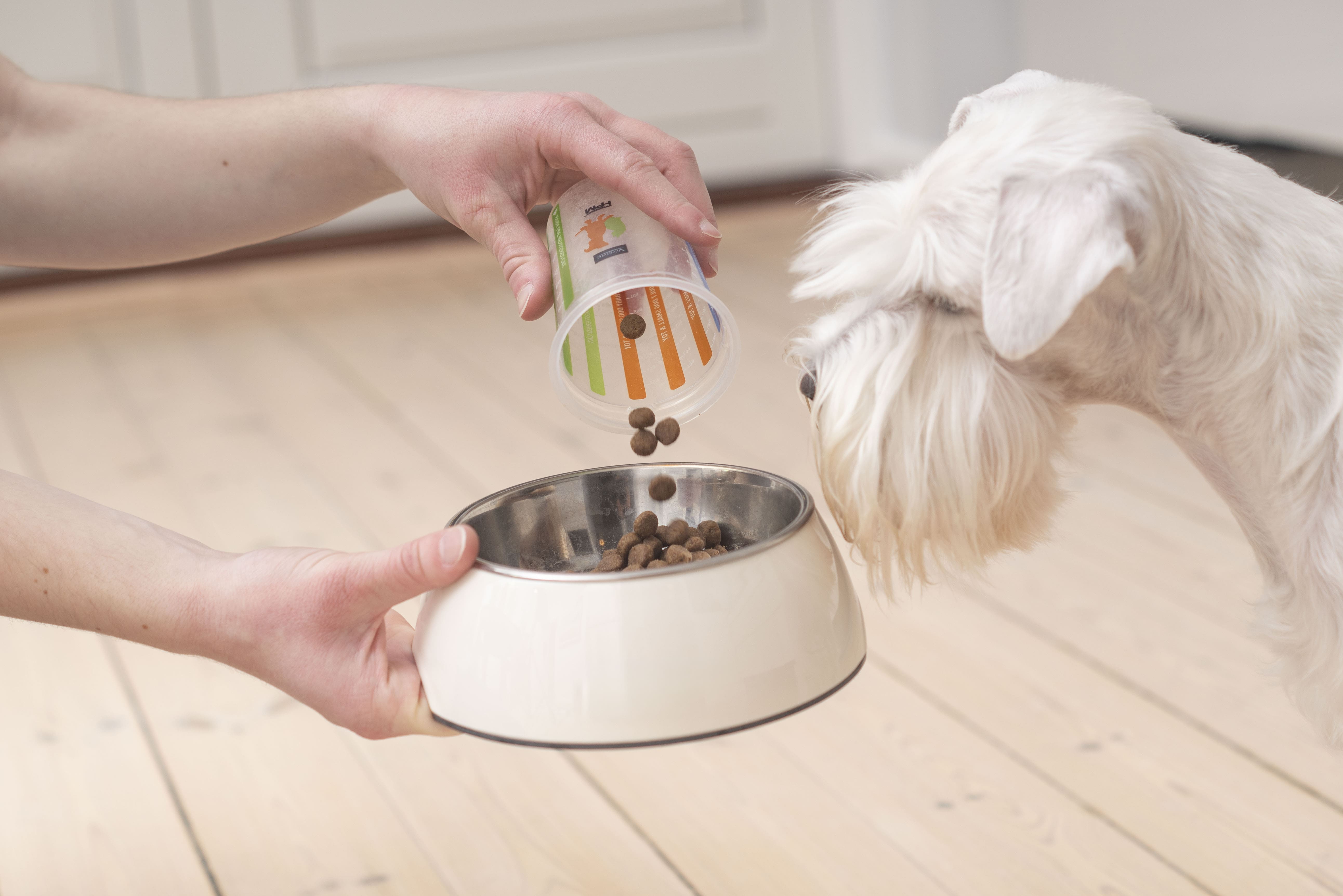 2022_TBR4401 (1).jpg