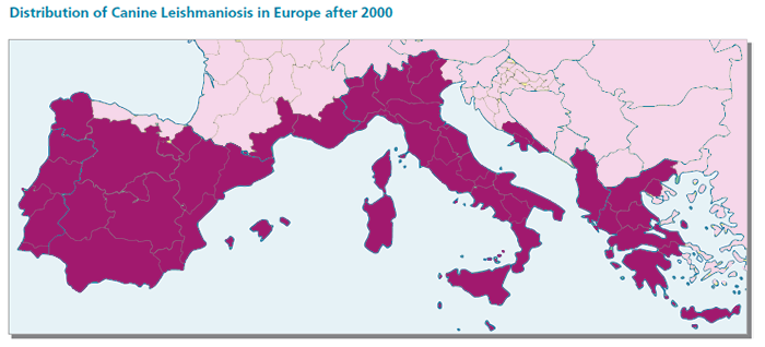 distribution_leisch2.png