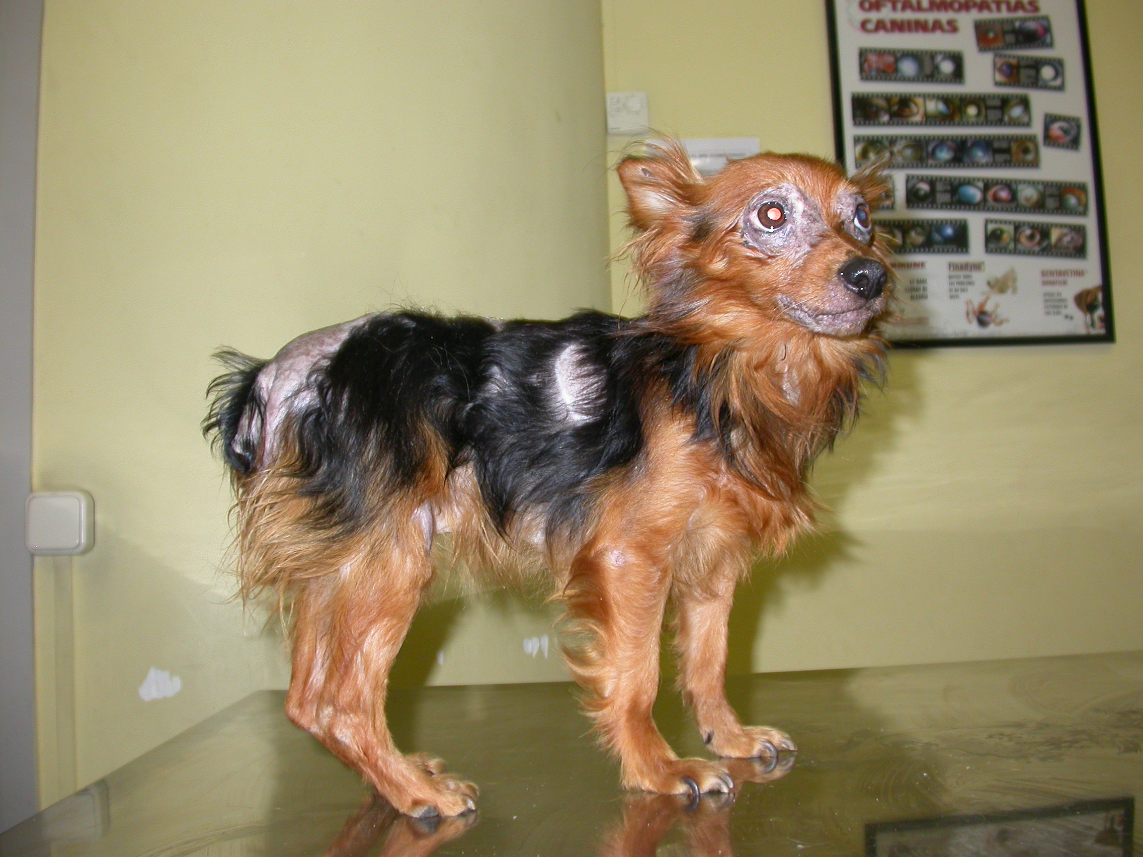 Lluis Ferrer_Servicio de Dermatología del Hospital Clínico de la UAB_3.JPG