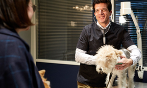 Quelle alimentation pour un chien qui a de l’arthrose ?