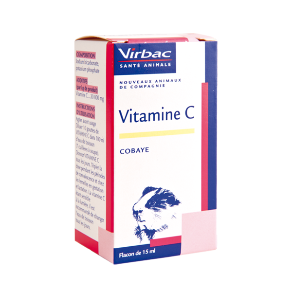 Vitamine c cobaye - carence chez le cochon d'inde