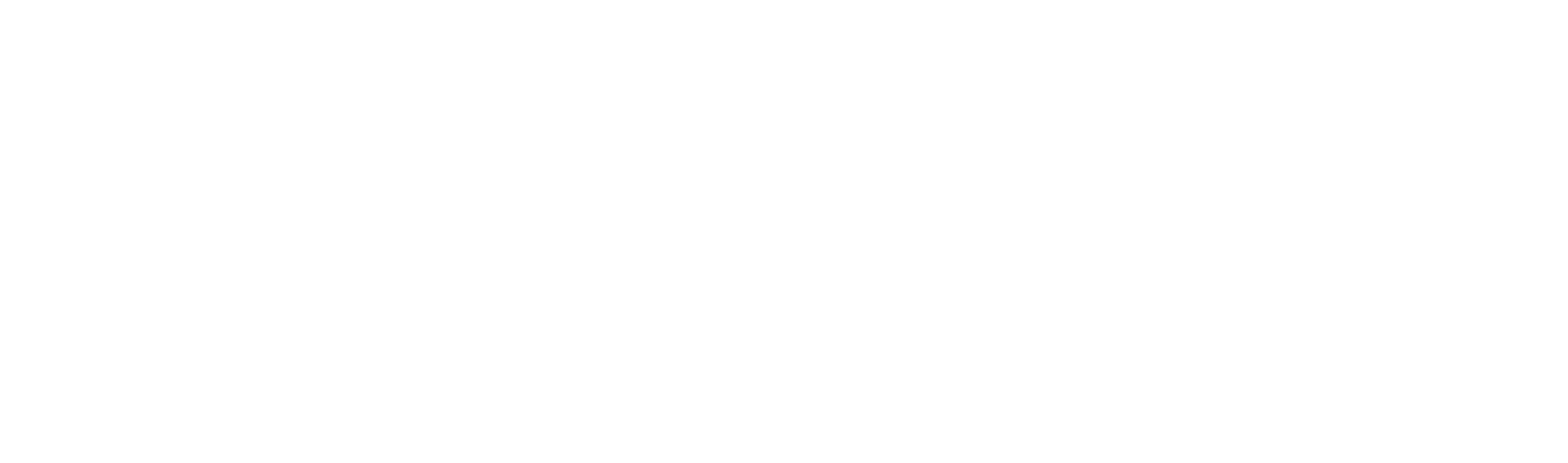 VHPM